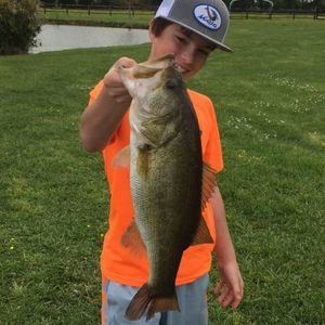 Meet your Posher, Janssen